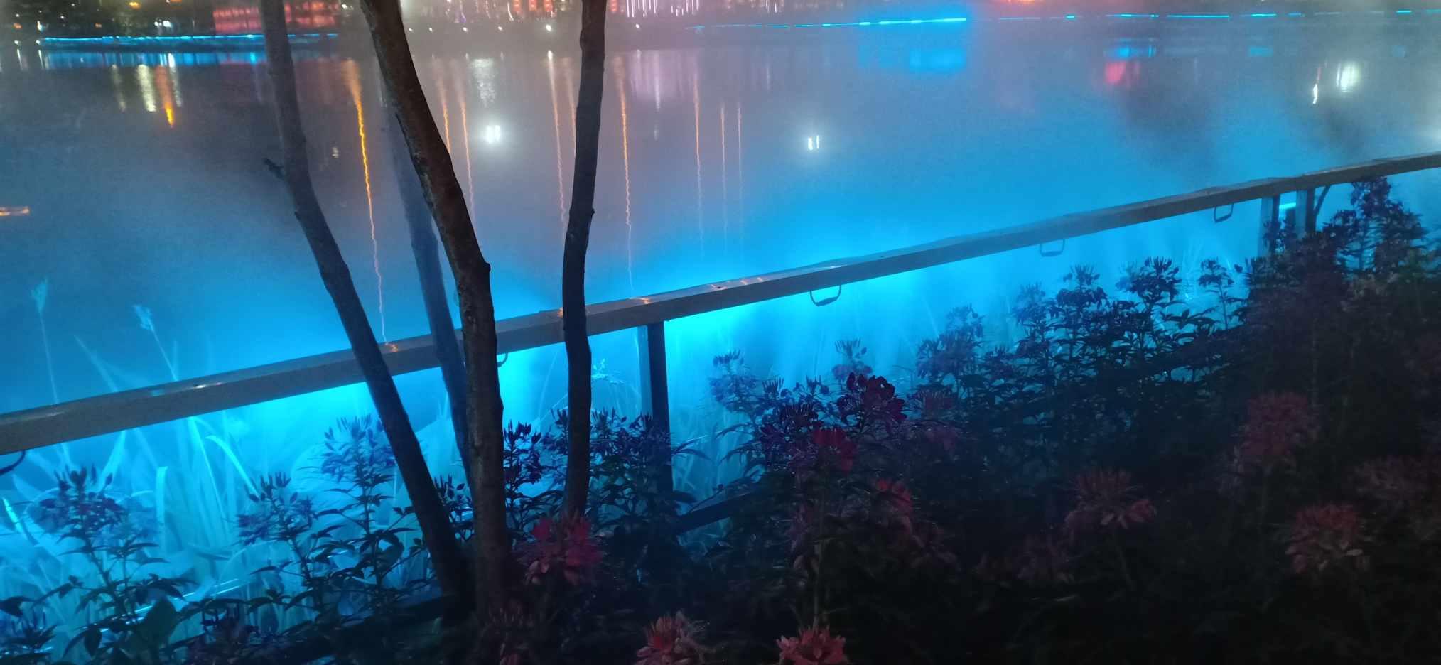 僵尸顶顶乐